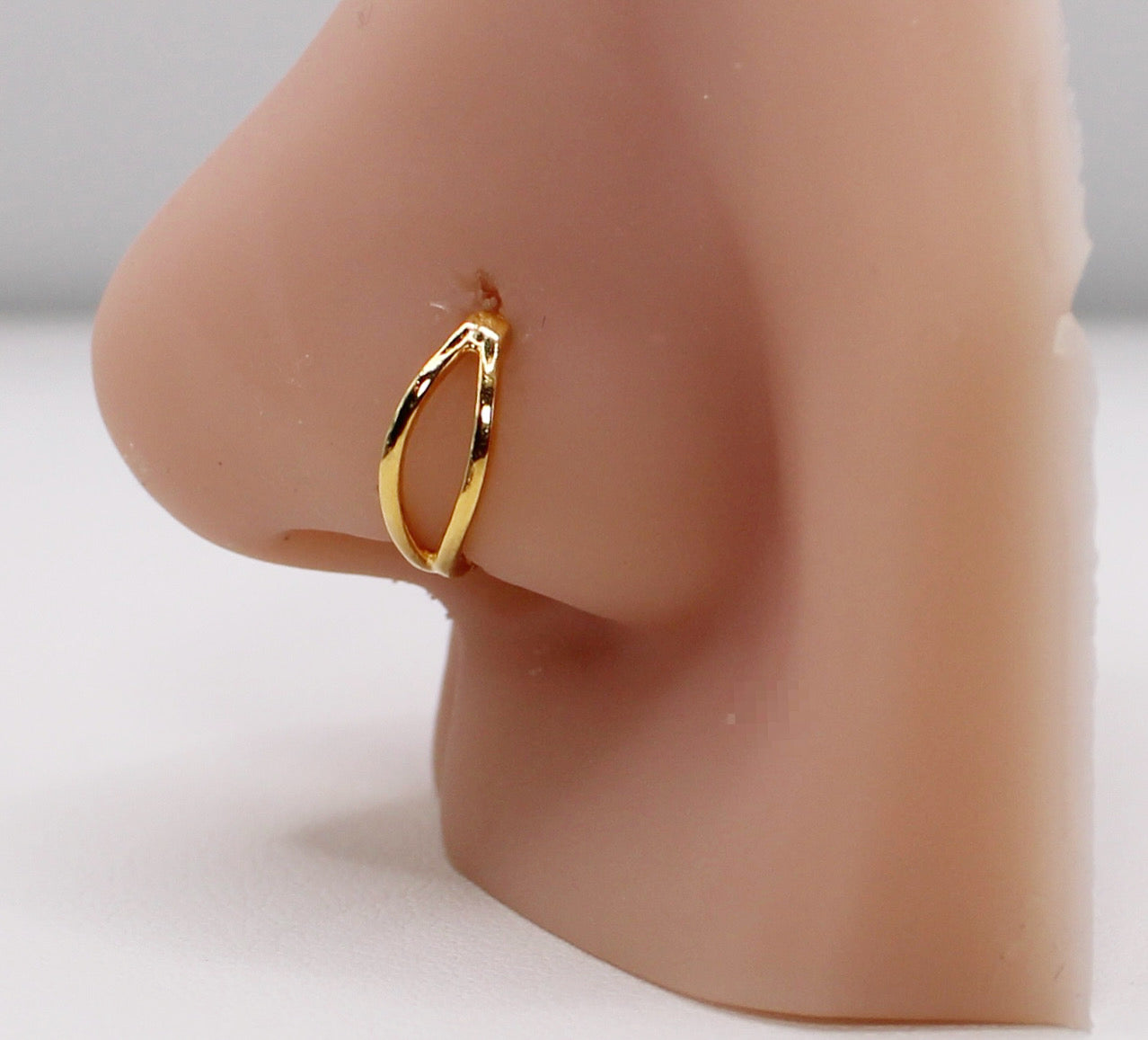 Double Hoop