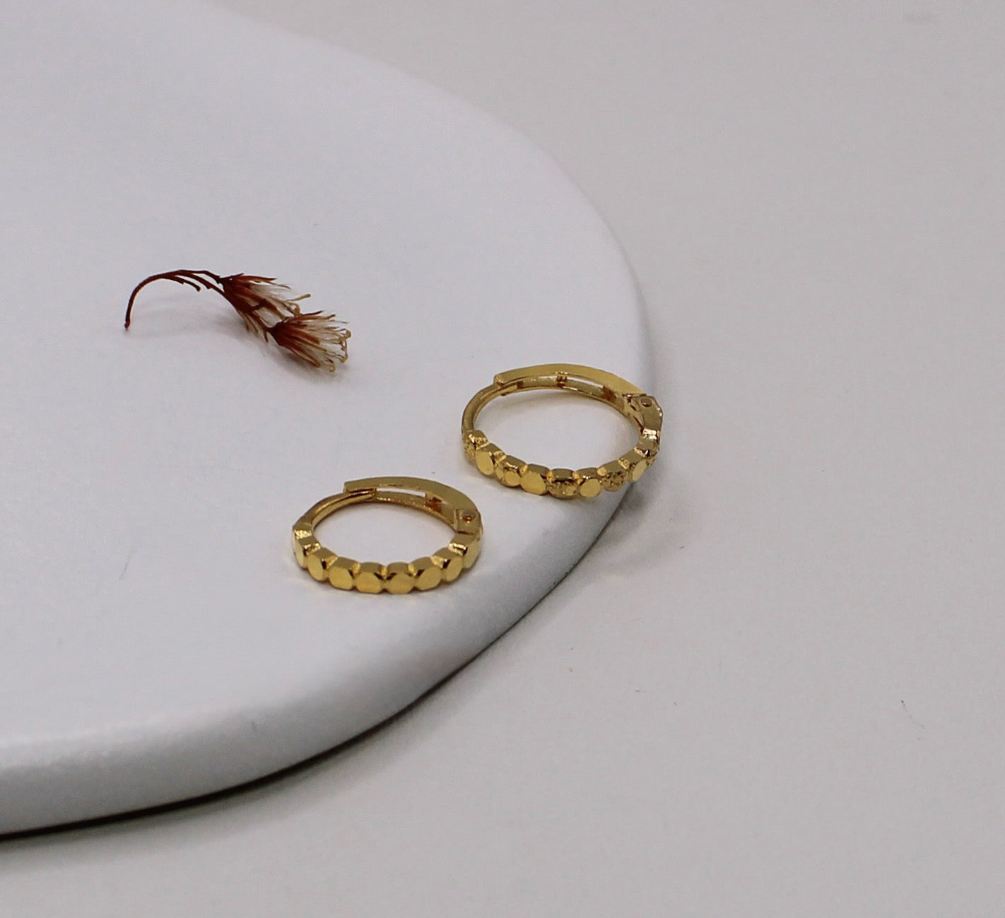 Shiny Thin Hoop