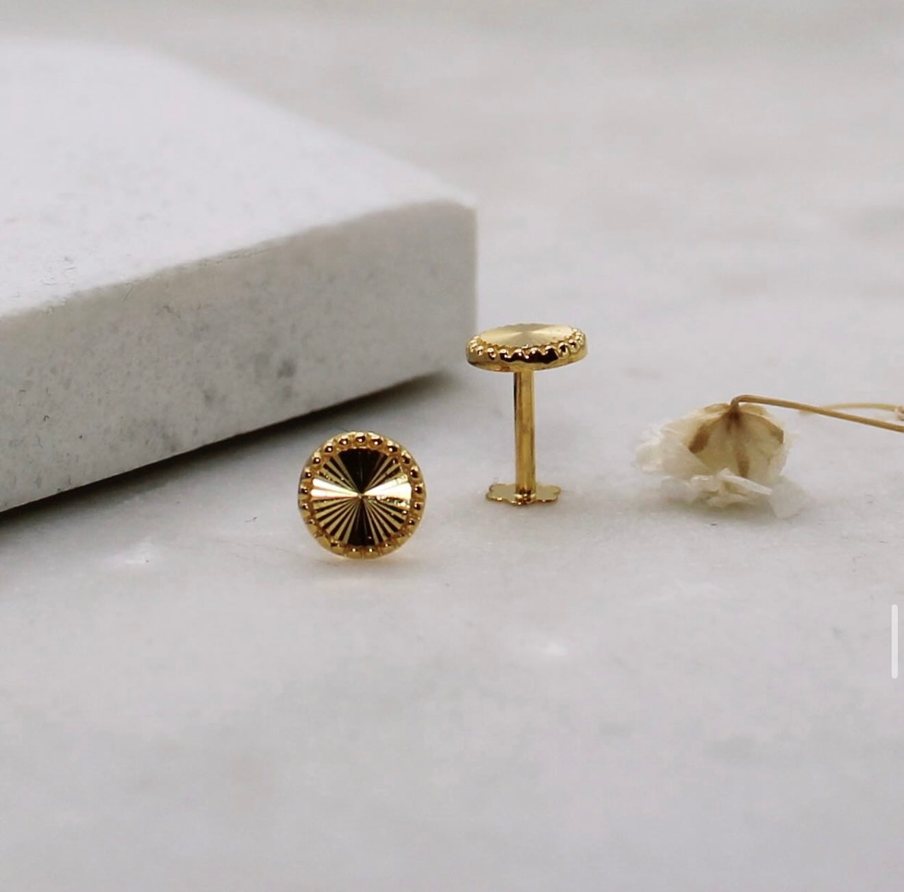 Dotted Small Round Studs