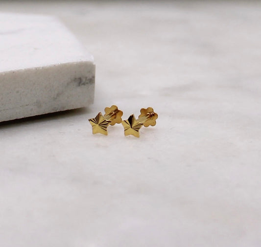 Detailed Star Studs
