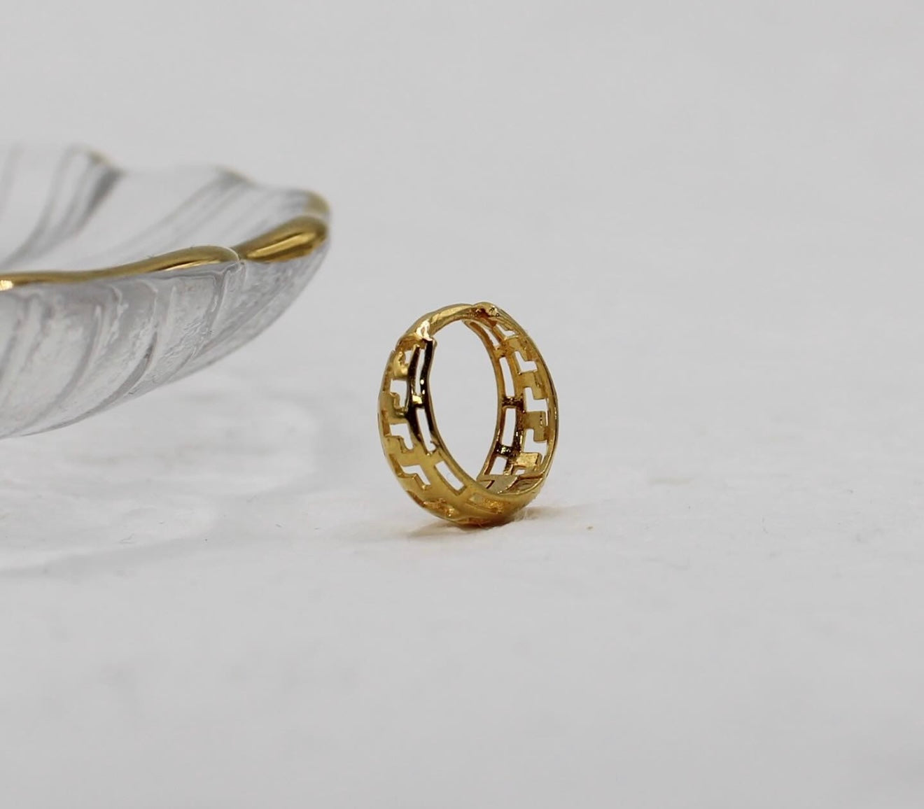 Detailed Dome Hoop