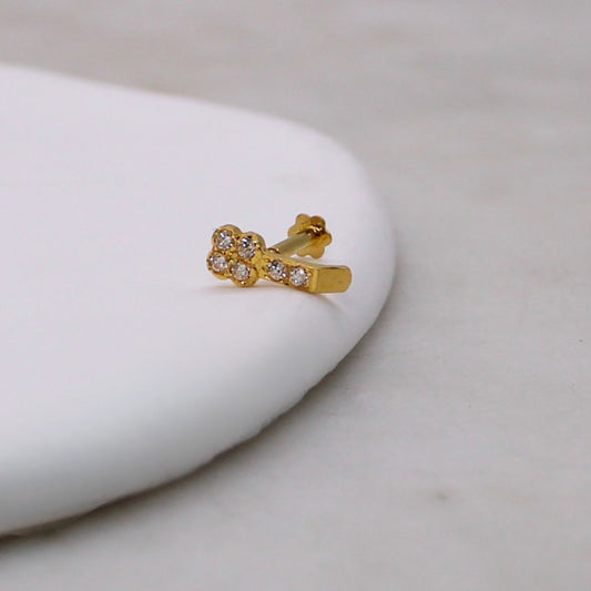 Long Clover Stud