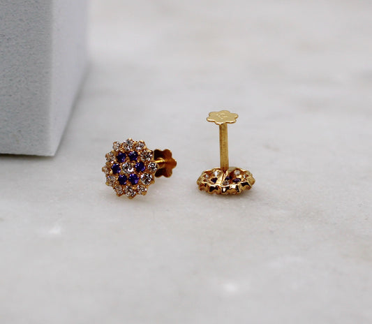 Purple Multi-stone Studs