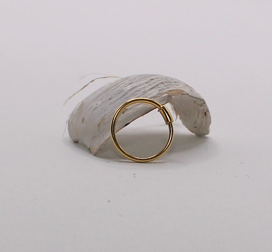 Plain Mirror-finish Hoop